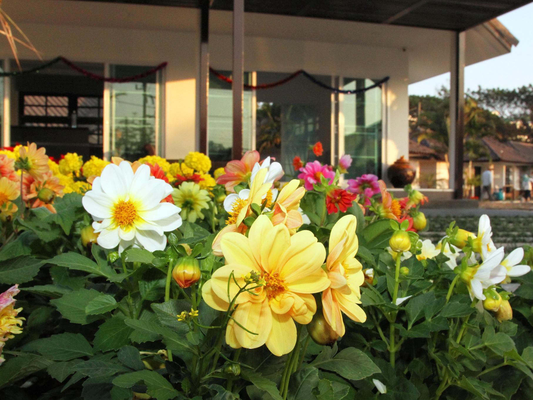 Chiangrai Green Park Resort Chiang Rai Dış mekan fotoğraf